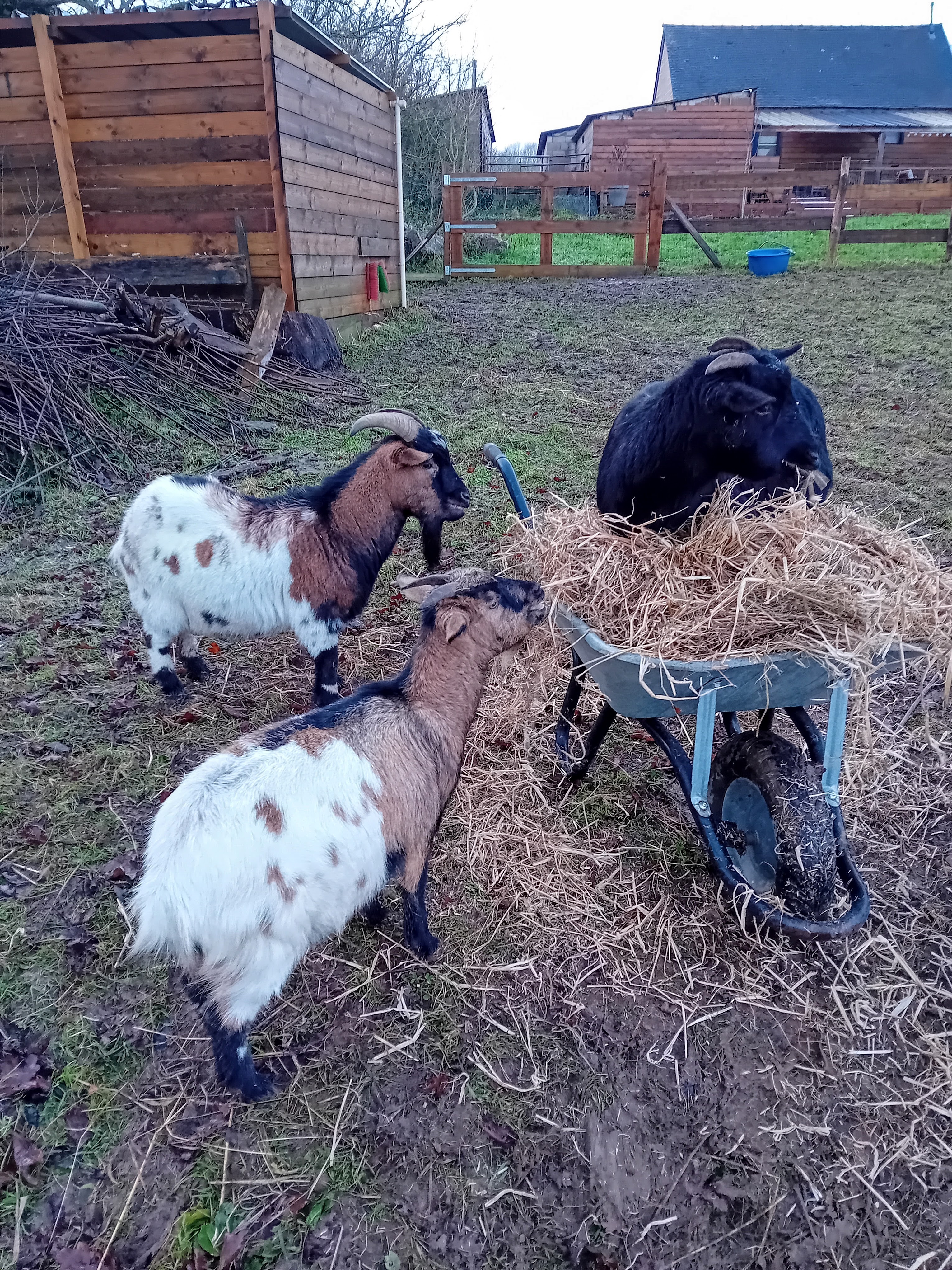 Photo n° 6 de la location