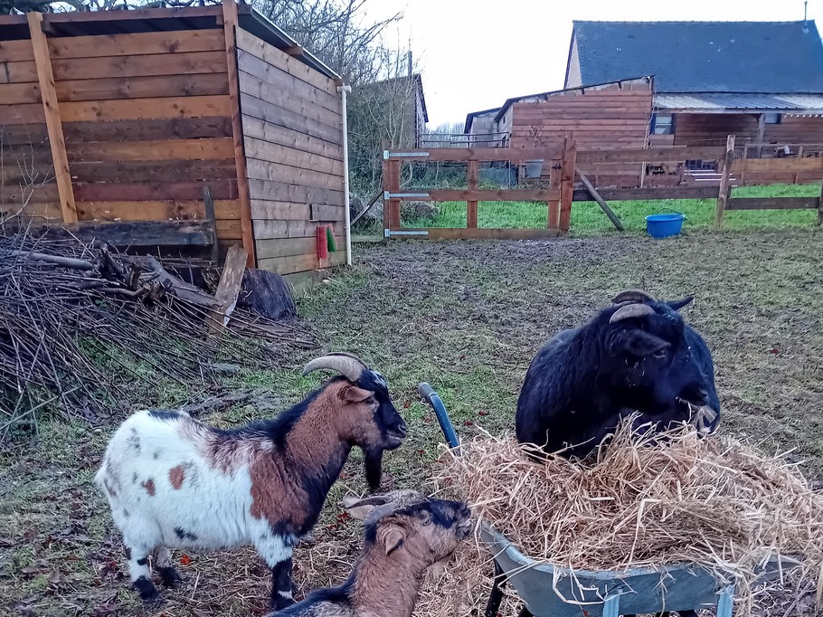 Photo n° 6 of the location