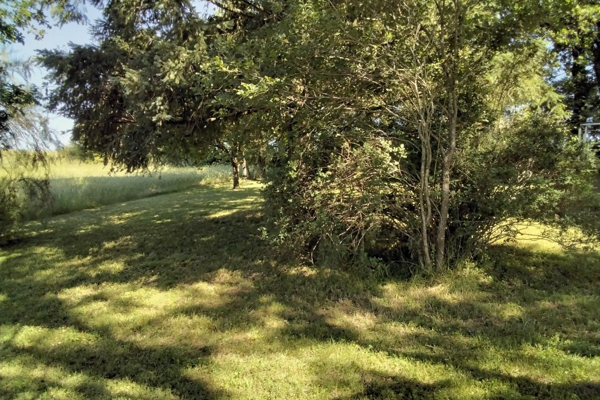 Photo n° 6 de la location