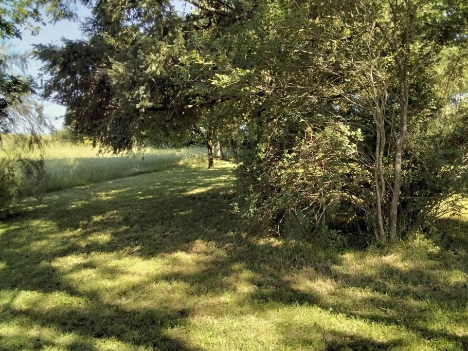 Photo n° 6 de la location