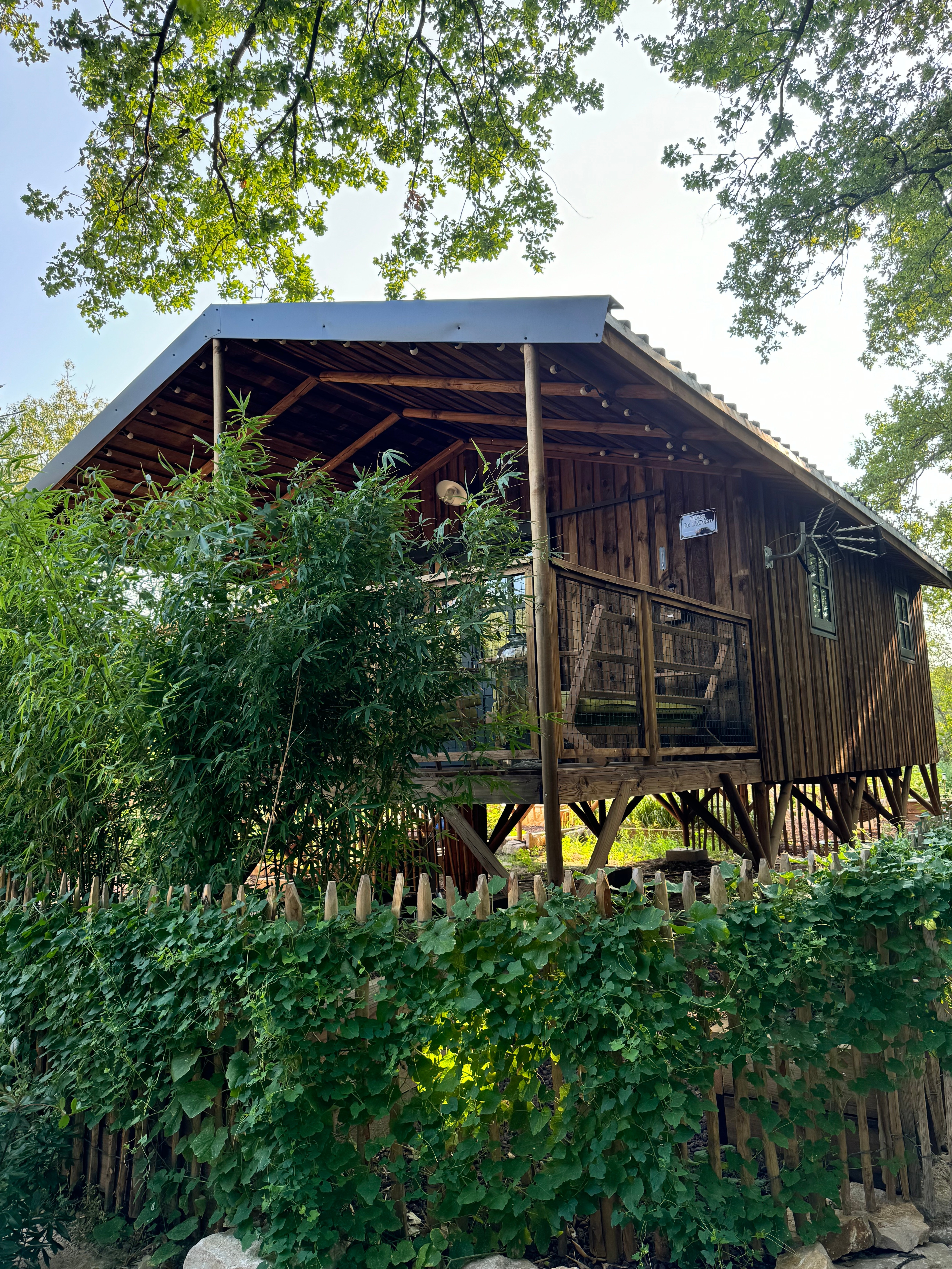 Photo n° 7 de la location