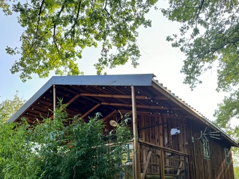 Photo n° 7 de la location