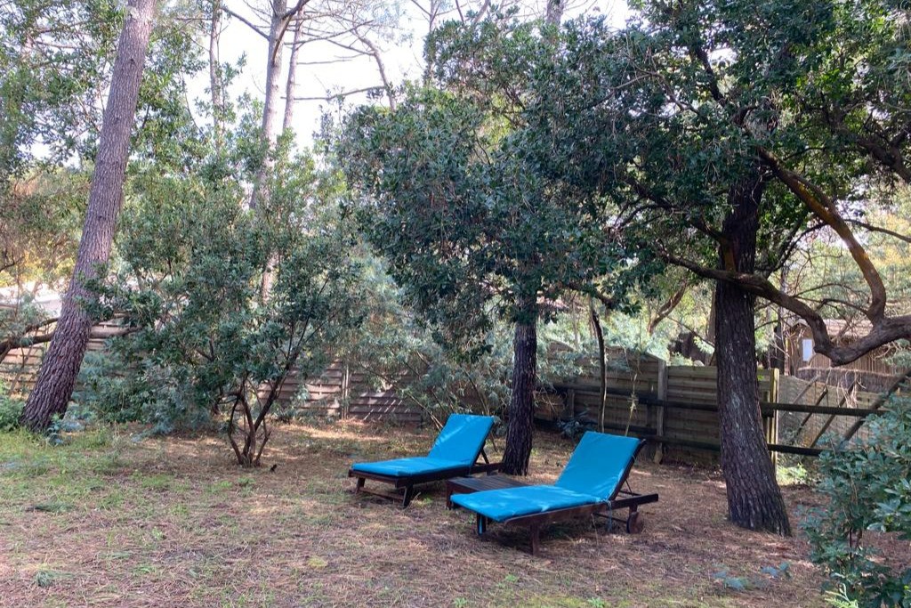 jardin