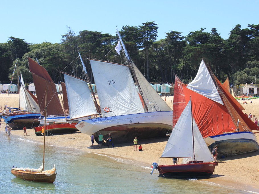les régates du Bois de la Chaise