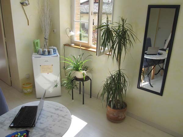 Séjour lumineux  - Lisle Sur Tarn - Tarn -