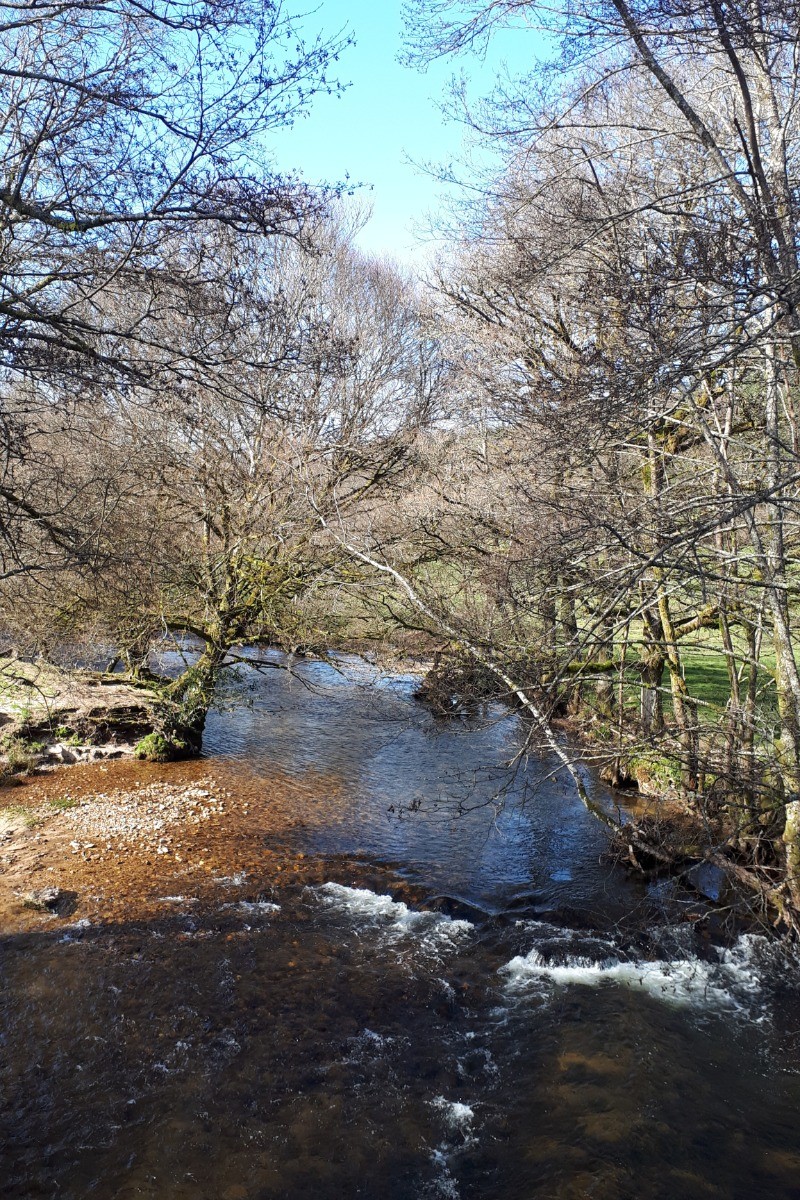 dans les Monédières