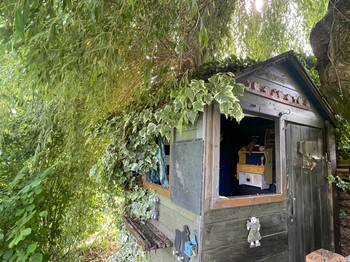 La cabane des enfants dans le saule.