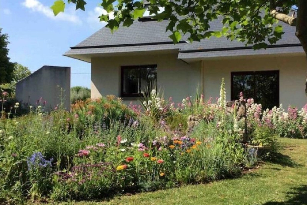jachère de fleurs autour de la maison