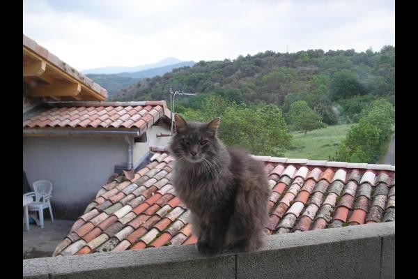 une vue