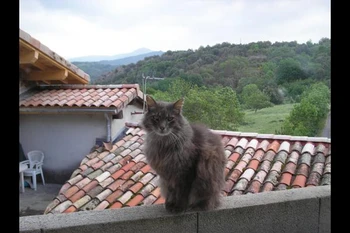 une vue
