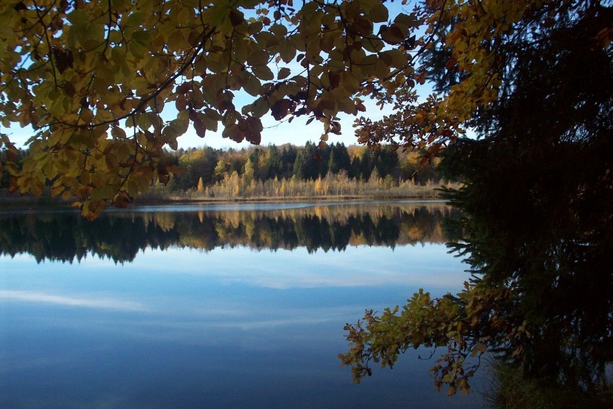 lac de Bonlieu