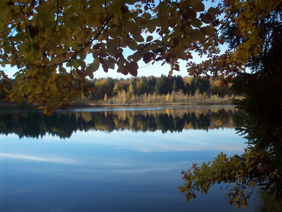lac de Bonlieu