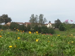 Image n° 3 de la location
