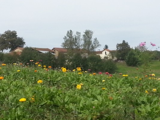 Photo n° 12 de la location