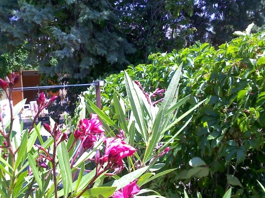 Photo n° 9 de la location