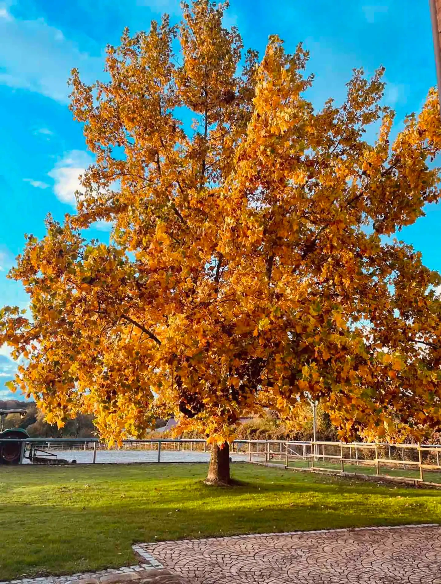 Photo n° 12 de la location