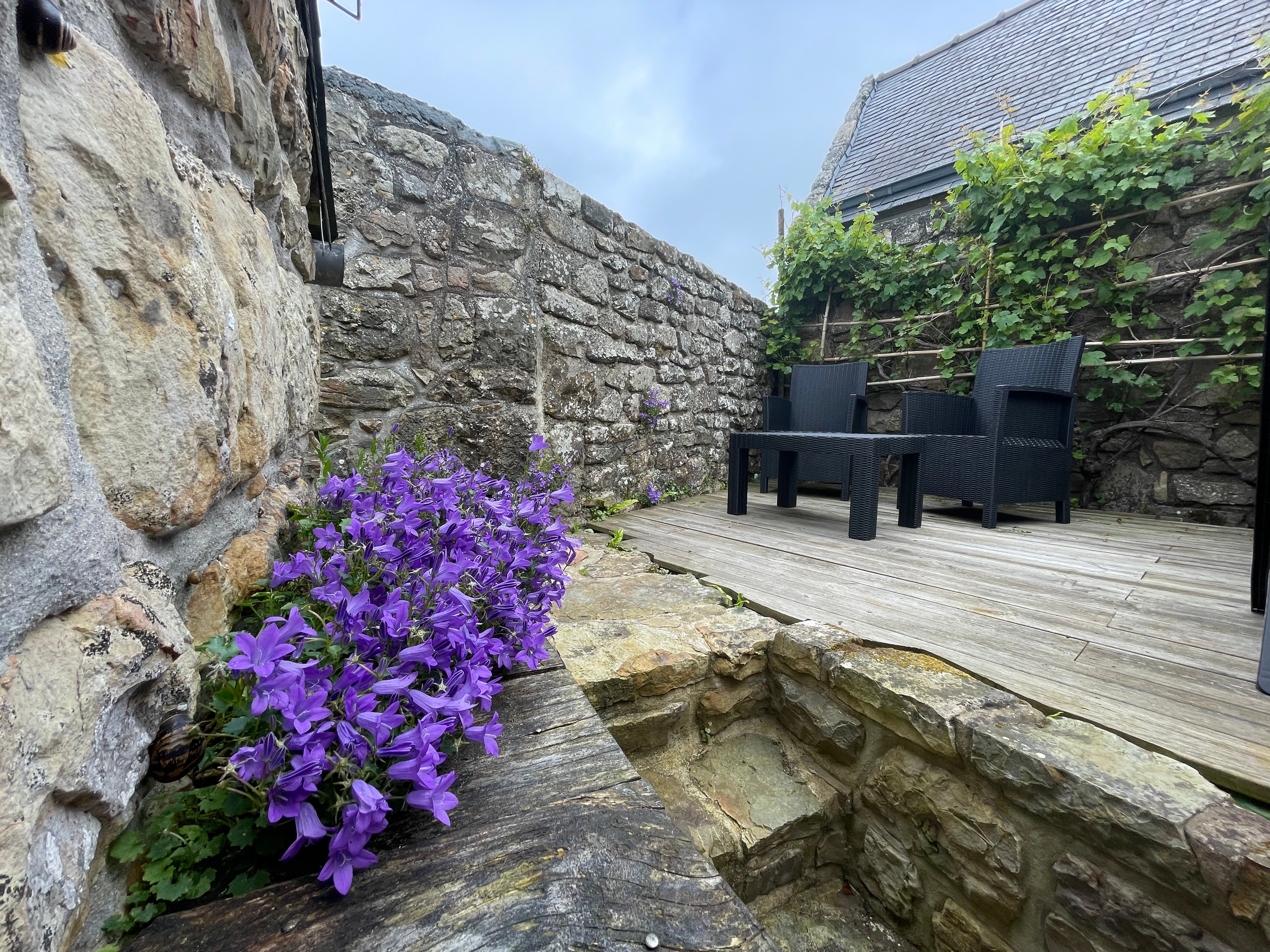 Terrasse en hauteur derrière la maison accessible par marche