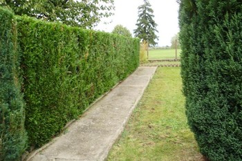 Résidence Les Floralies - Meublé "Les Roses" à Néris-les-Bains idéal pour cures thermales