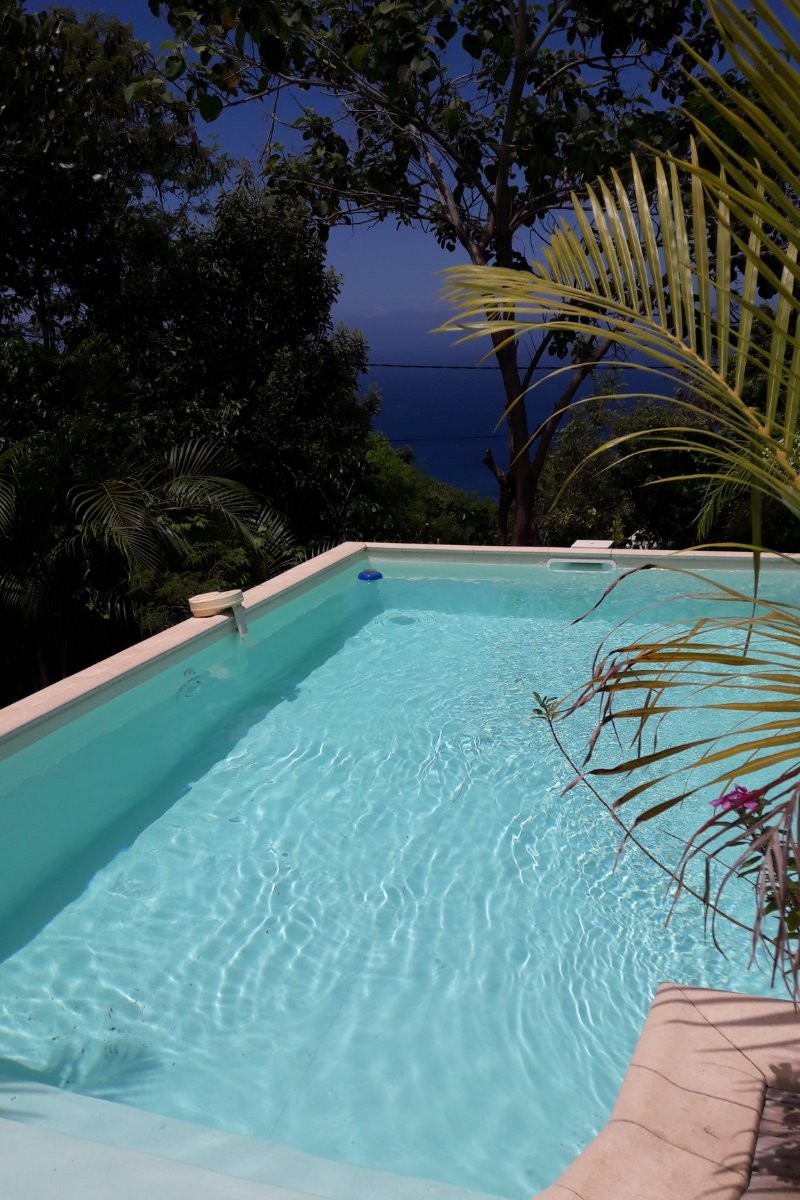 La piscine à partager avec les propriétaires. Accès libre quotidien de 10h00 à 18h00