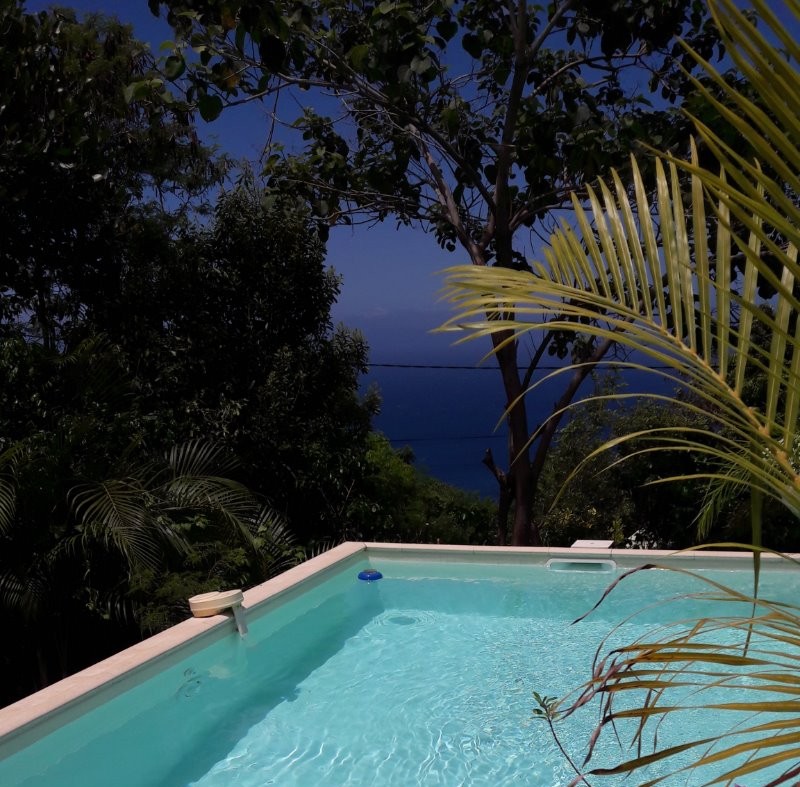 La piscine à partager avec les propriétaires. Accès libre quotidien de 10h00 à 18h00