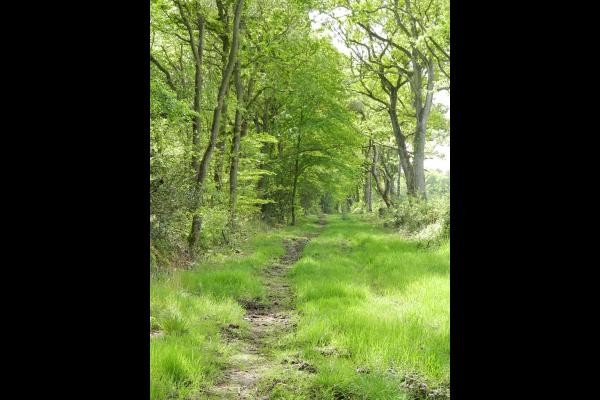 Chemin de randonnée partant du gîte.