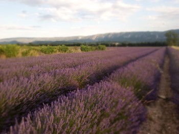 la campagne des alentours