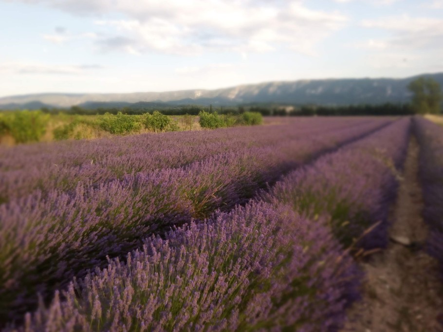 la campagne des alentours