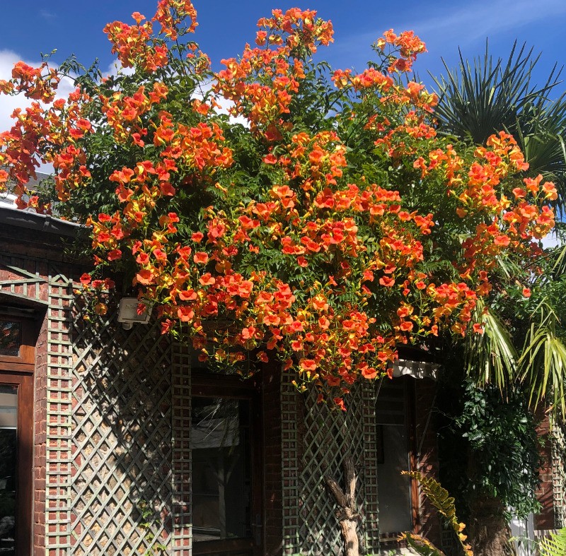 accès privatif depuis la terrasse