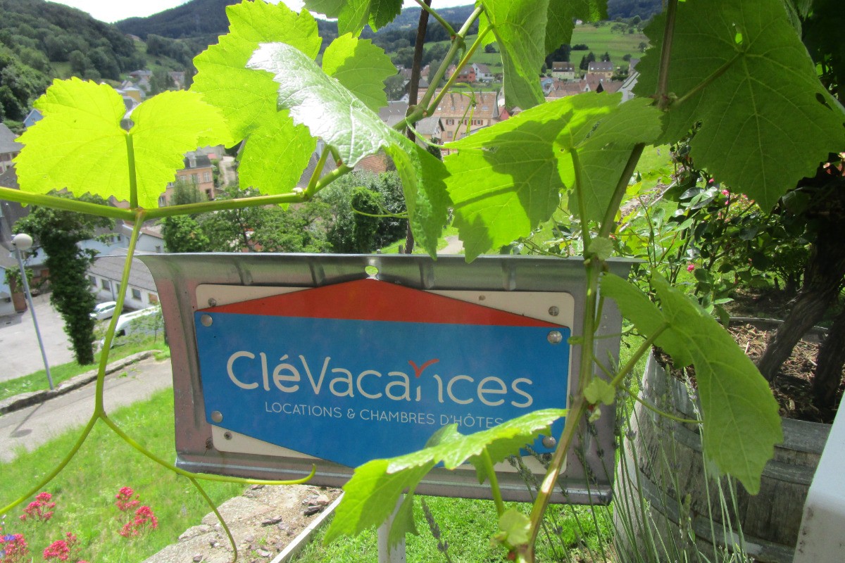 Photo n° 15 de la location