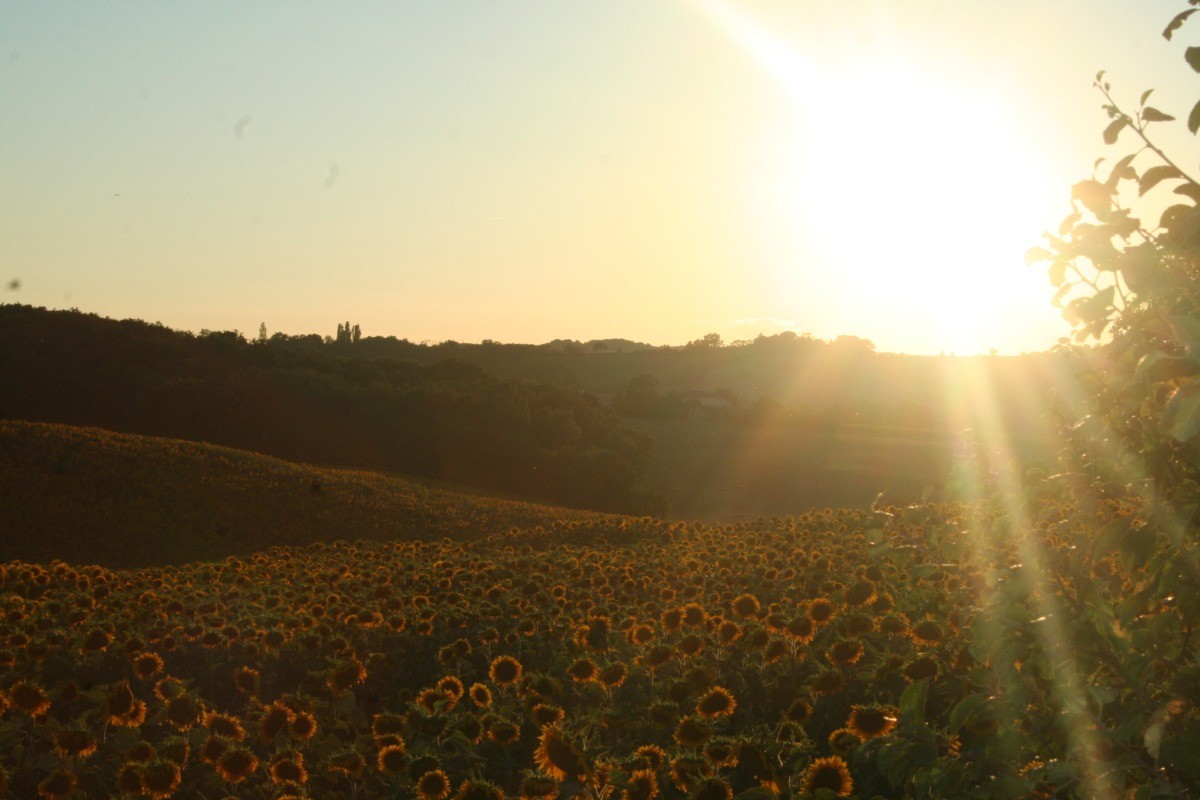 Photo n° 15 de la location