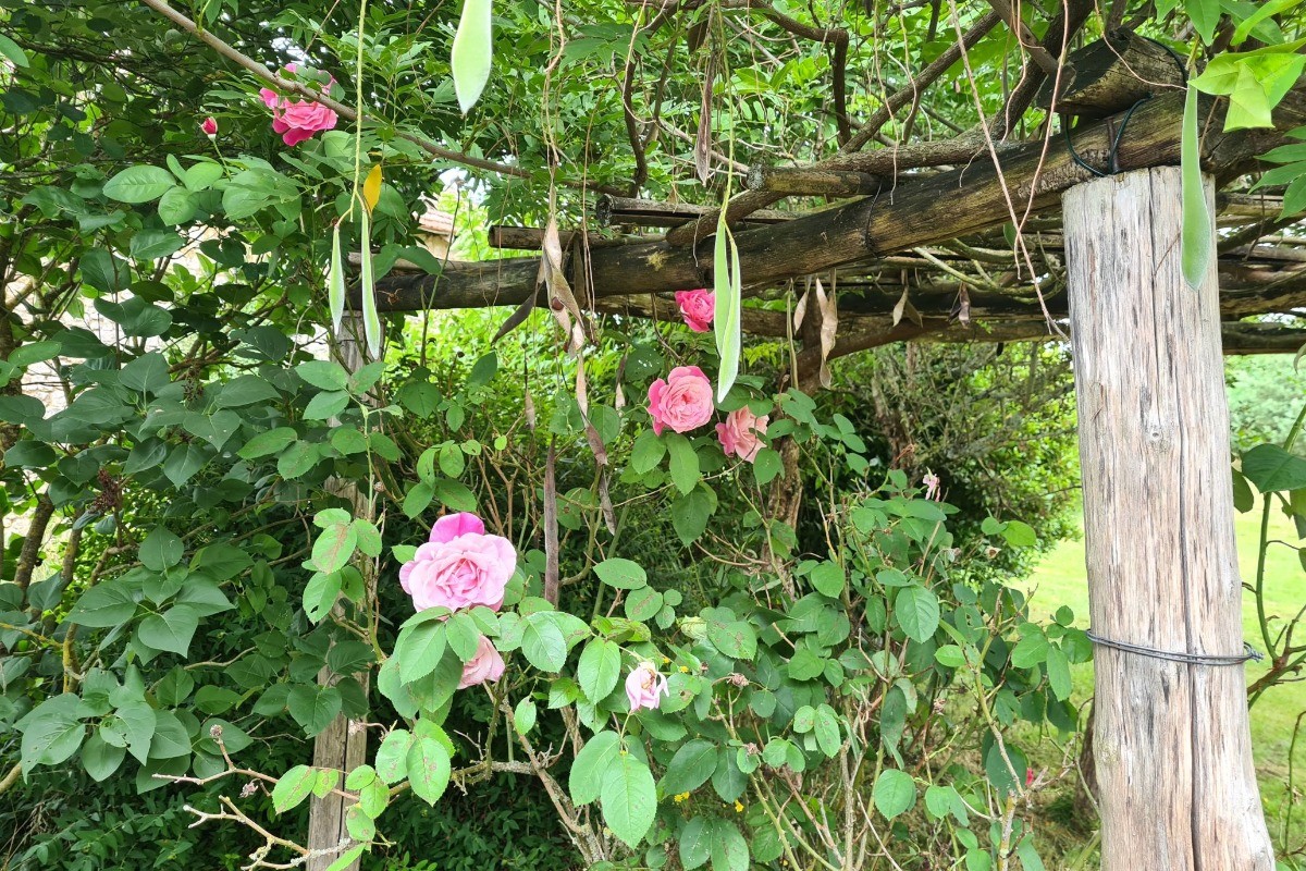 Photo n° 19 of the location
