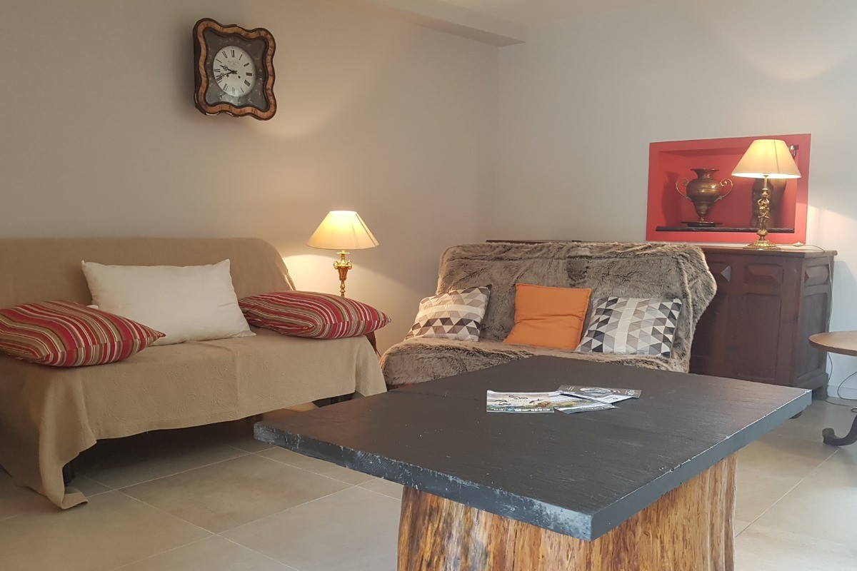 Salon convivial avec bibliothèque et TV