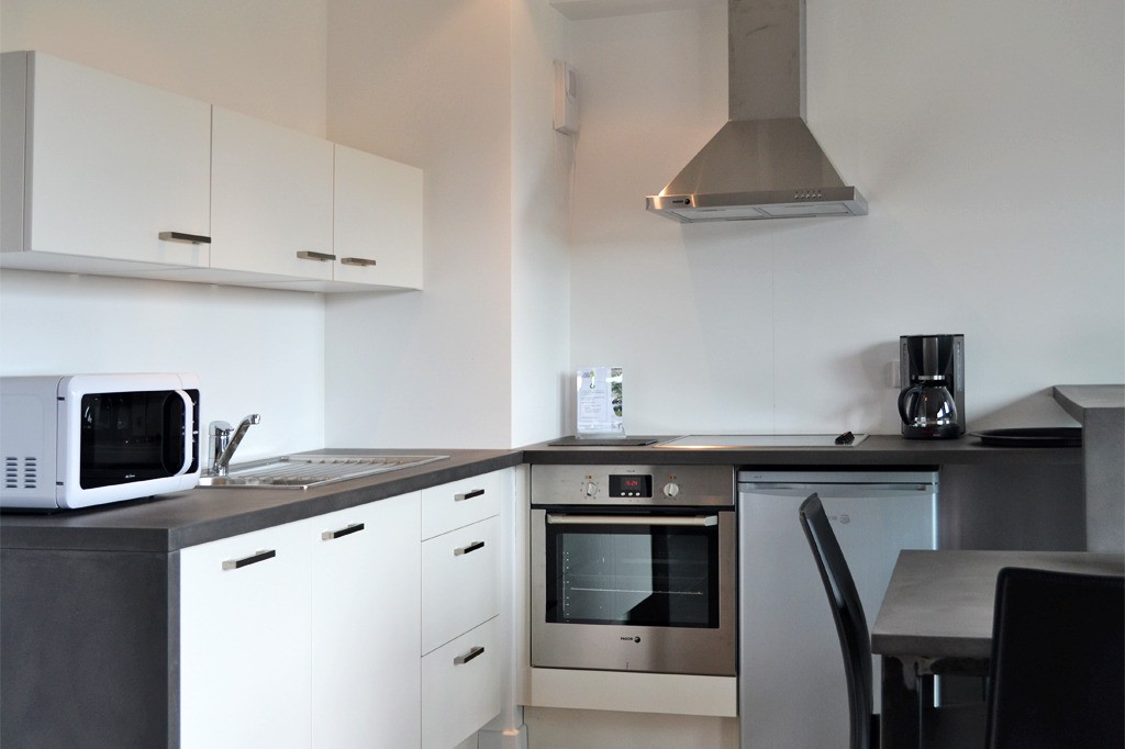 Cuisine équipée avec lave-vaisselle intégré, réfrigérateur, plaques, micro-ondes...