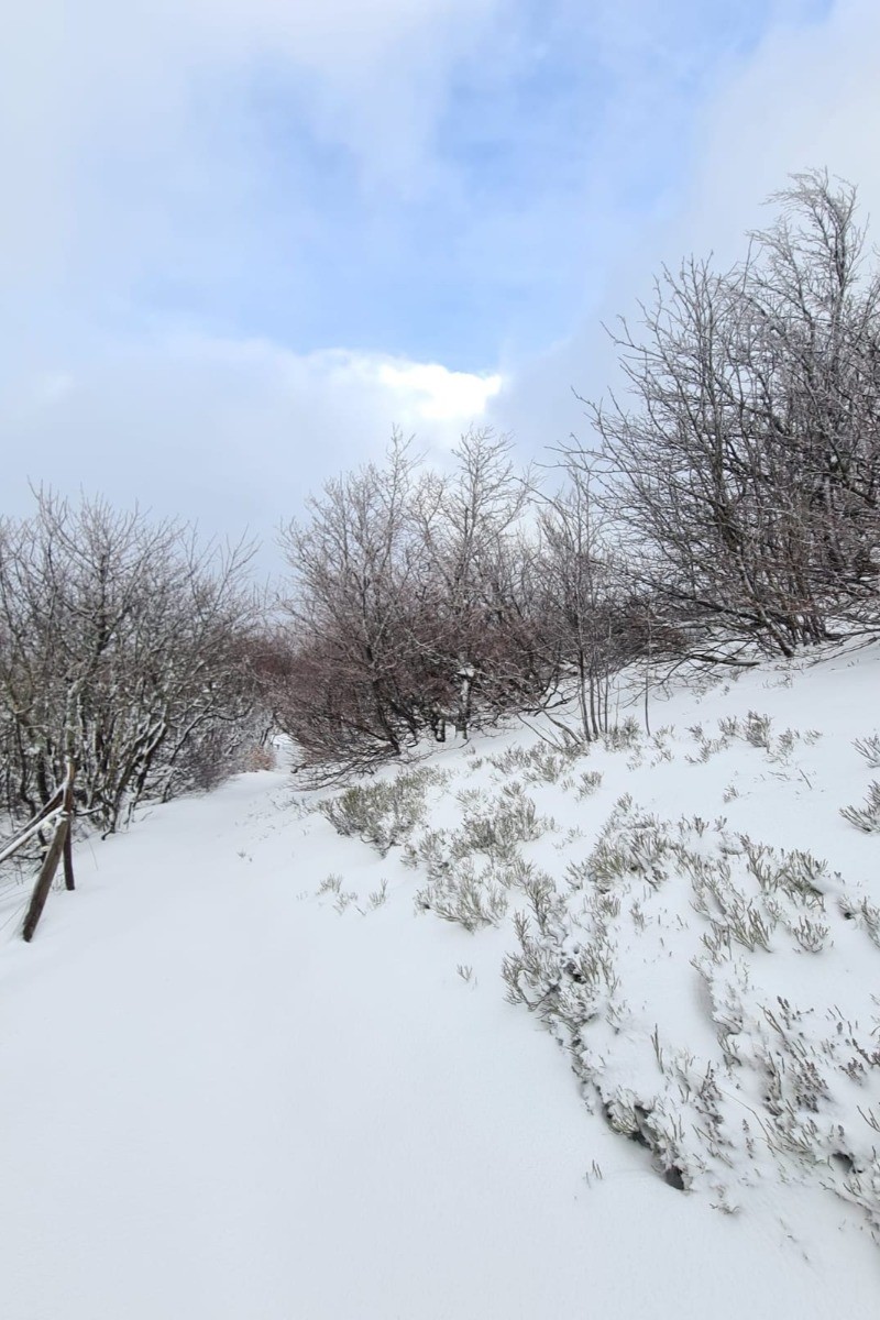 Environnement- Chalet Coccinelle