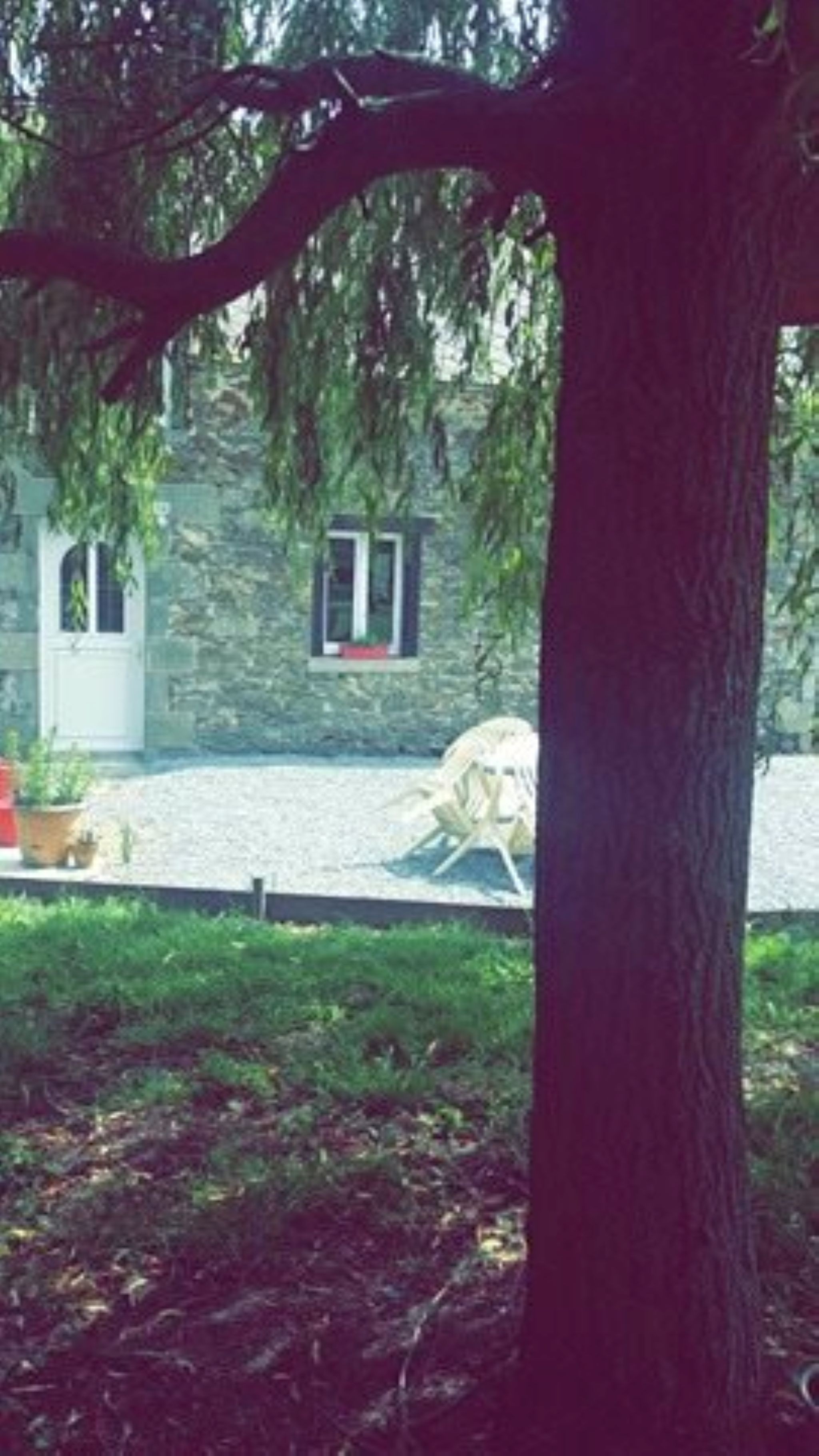 Photo n° 8 of the location