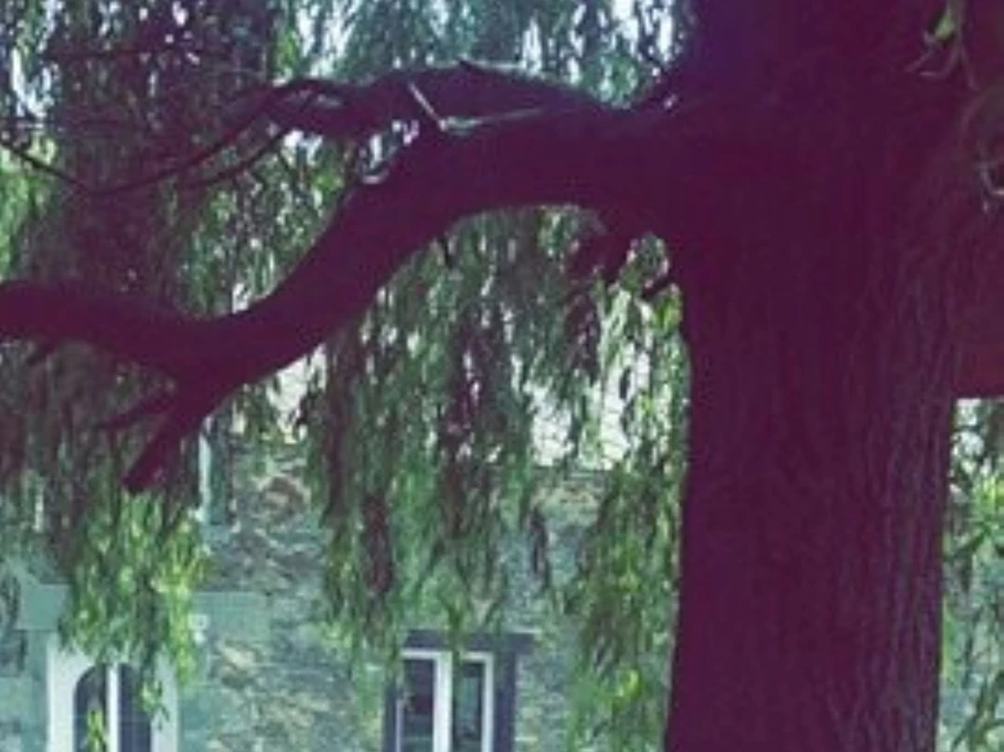 Photo n° 8 of the location