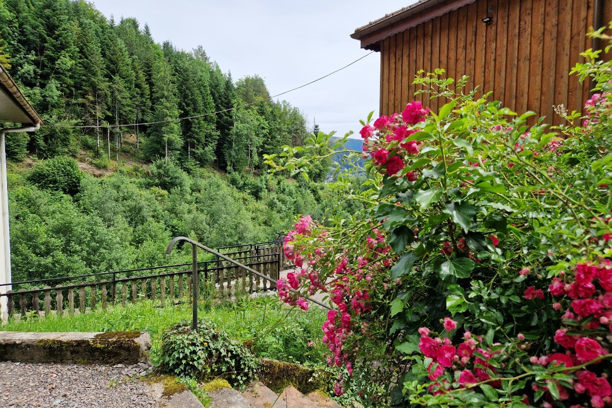 Gîte de la Haute Hardoye (14 pers) dans les Vosges