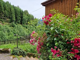 Gîte de la Haute Hardoye (14 pers) dans les Vosges