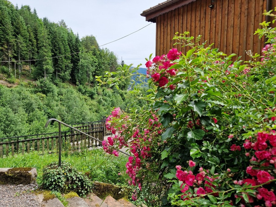 Gîte de la Haute Hardoye (14 pers) dans les Vosges