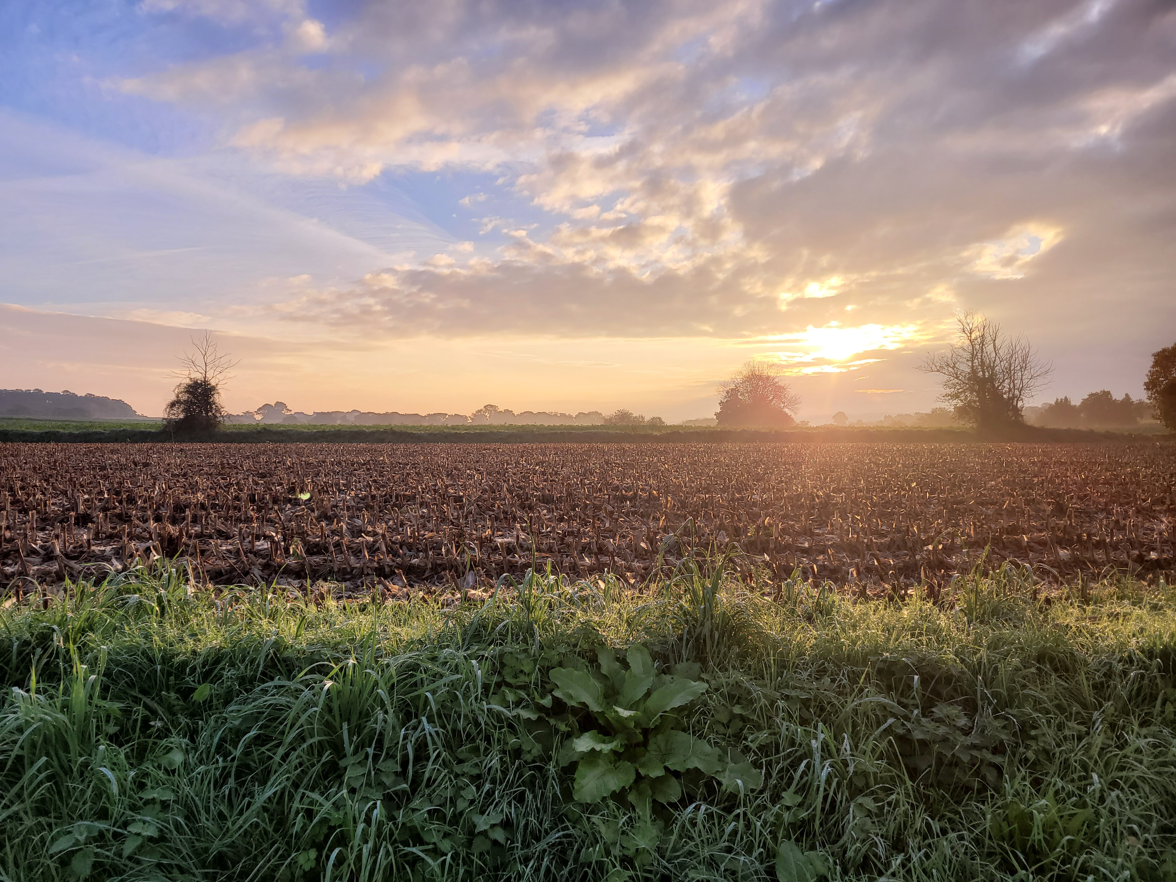 Photo n° 18 de la location