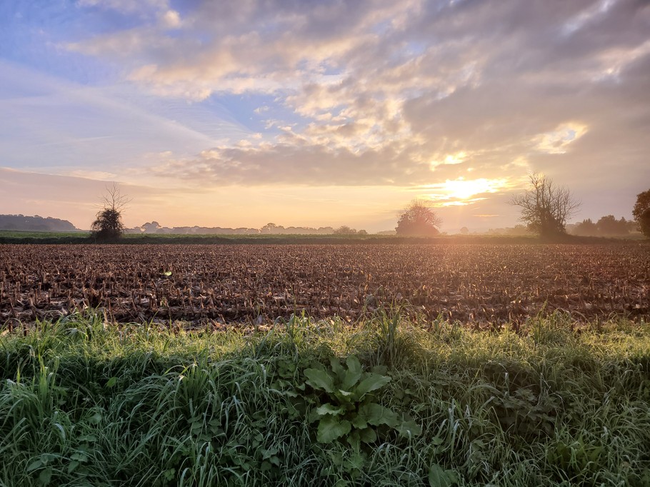 Photo n° 18 de la location