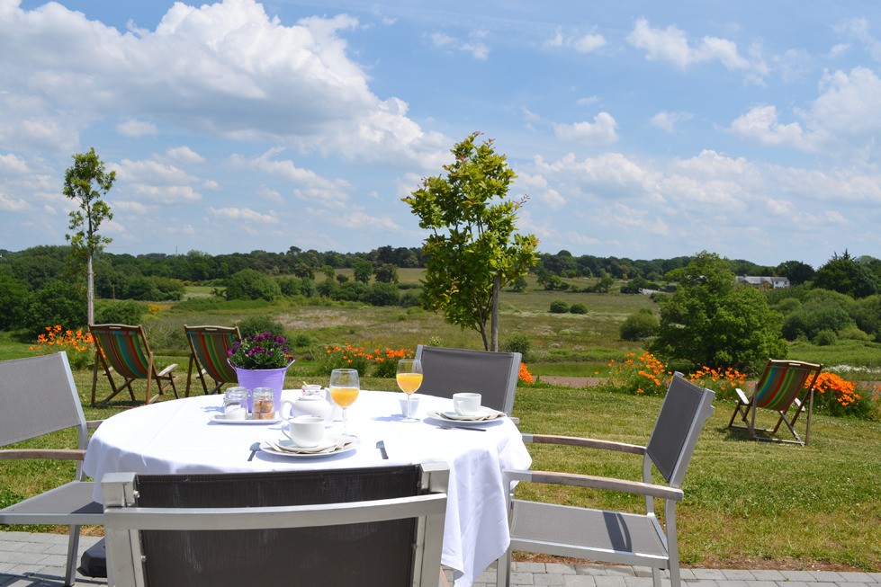 Terrasse donnant sur la campagne, salon de jardin, transats, barbecue