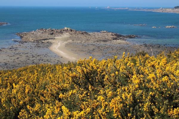 Pointe de Barnenez .Baie de Morlaix