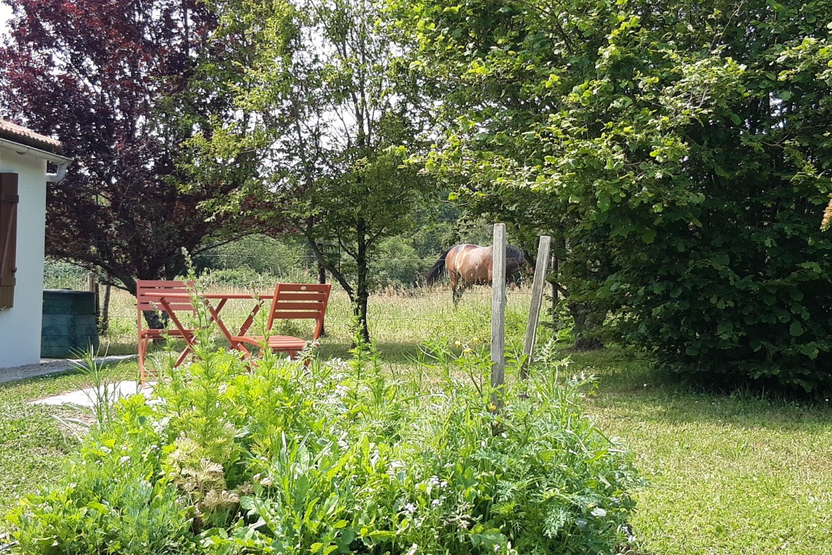 Photo n° 13 de la location