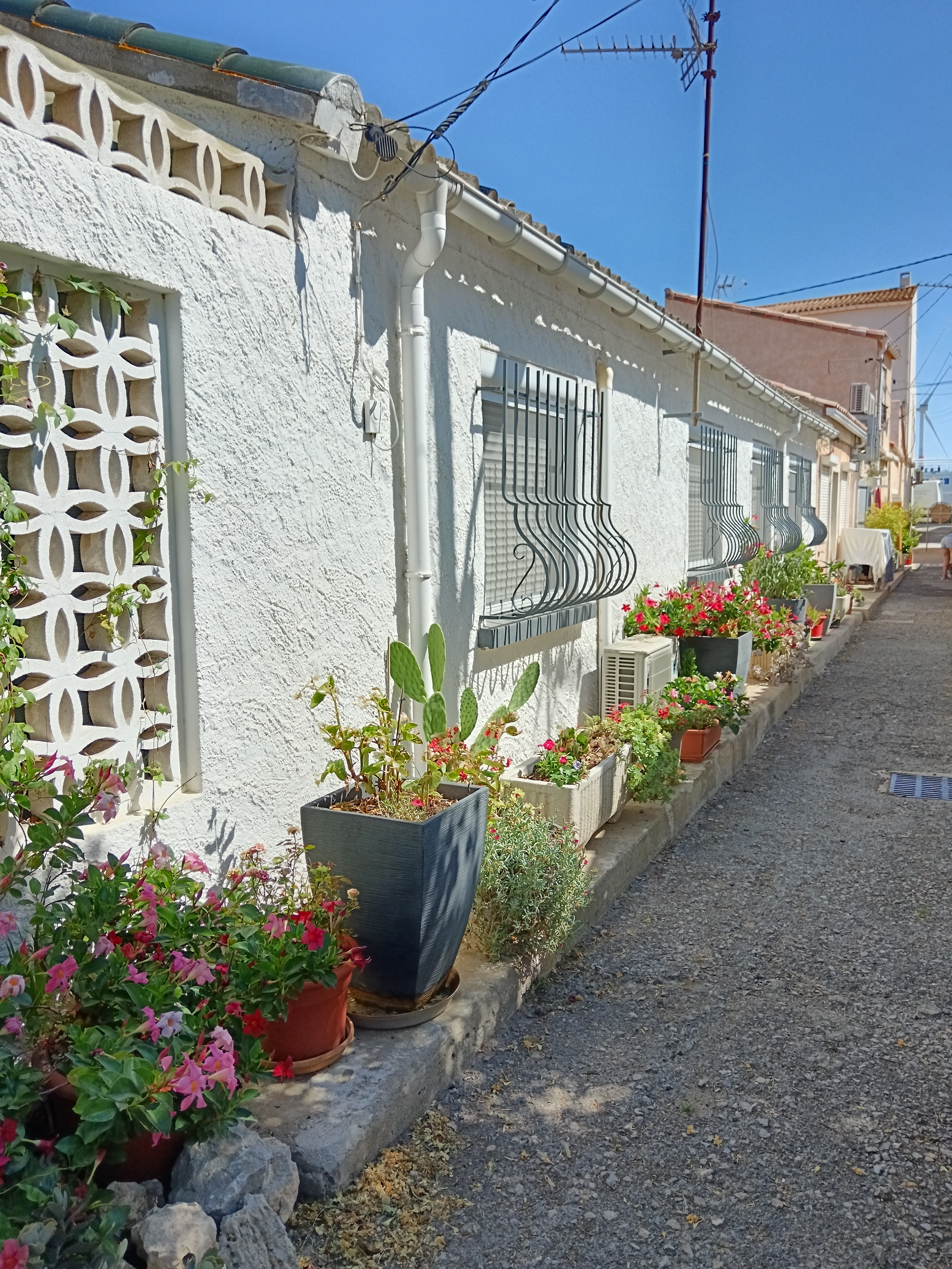 Photo n° 5 of the location