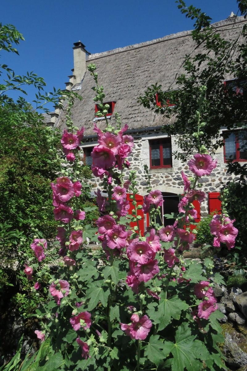 Le parc en été