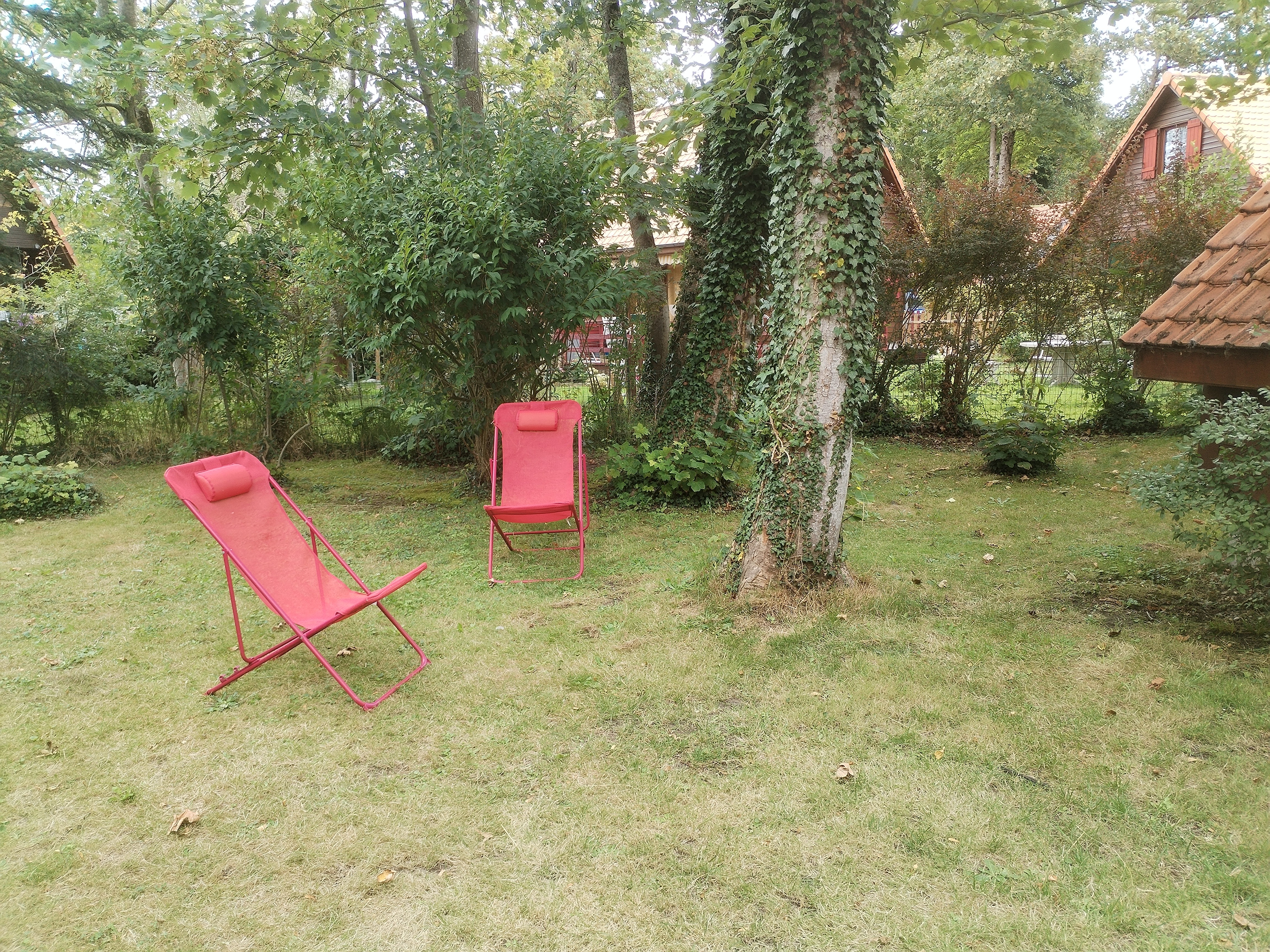 relax in the garden