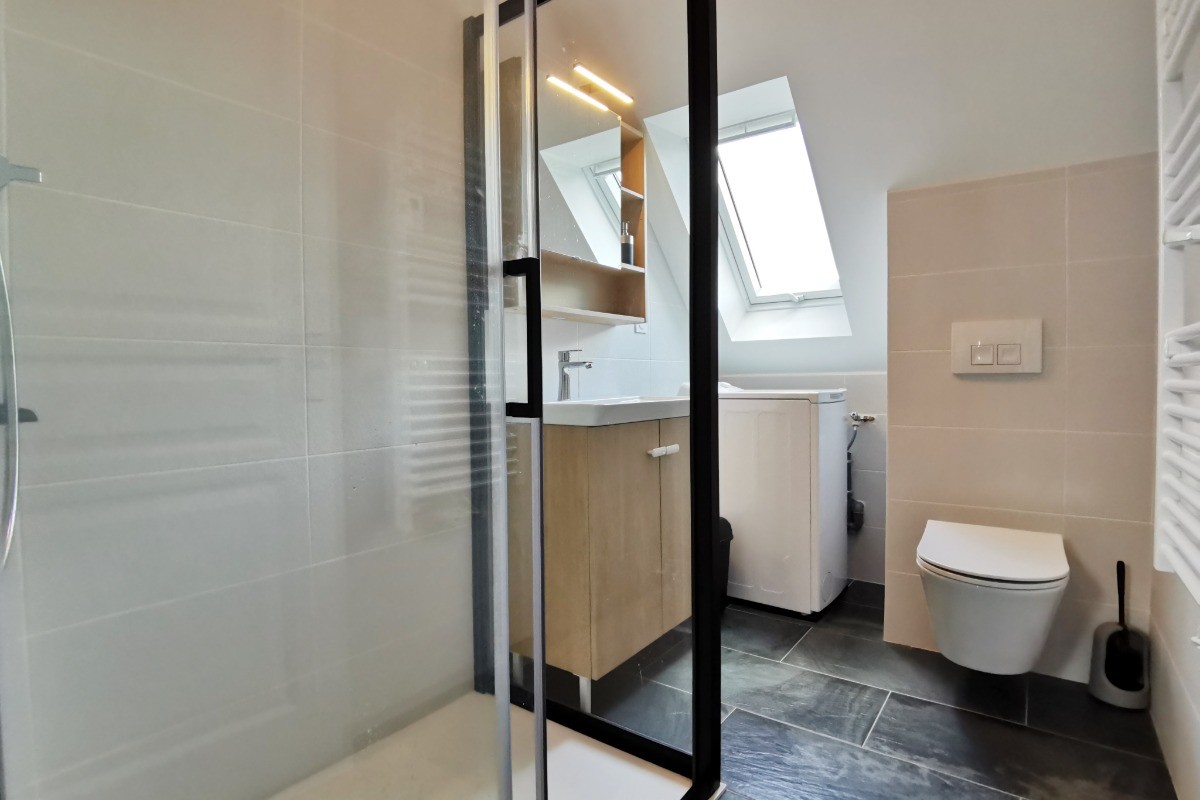 salle d'eau avec WC et lave-linge