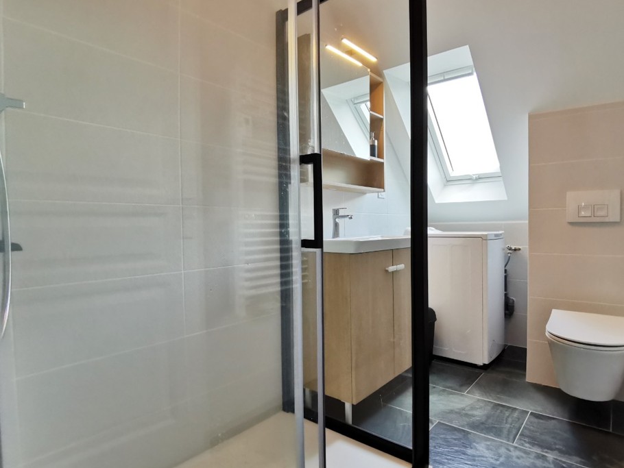 salle d'eau avec WC et lave-linge