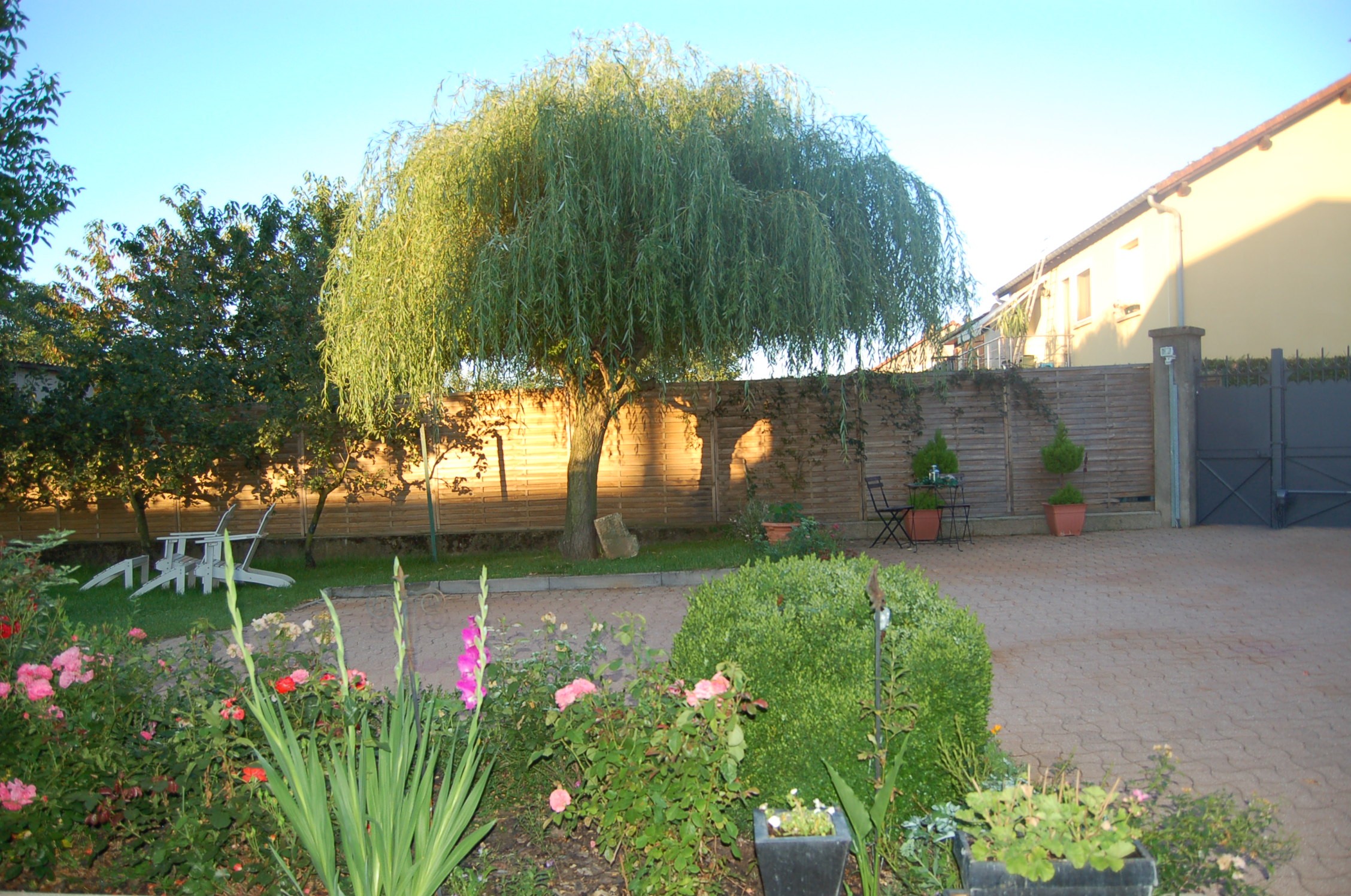 Photo n° 8 of the location